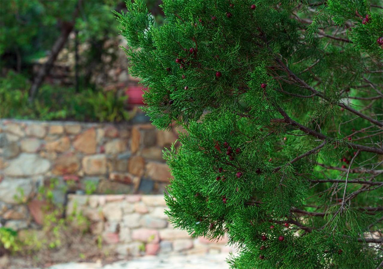 Sa Guardia De Ferricci Bed & Breakfast Solanas  Dış mekan fotoğraf