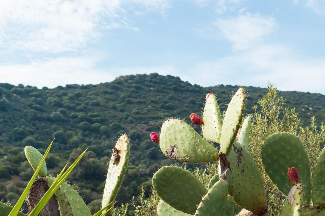 Sa Guardia De Ferricci Bed & Breakfast Solanas  Dış mekan fotoğraf